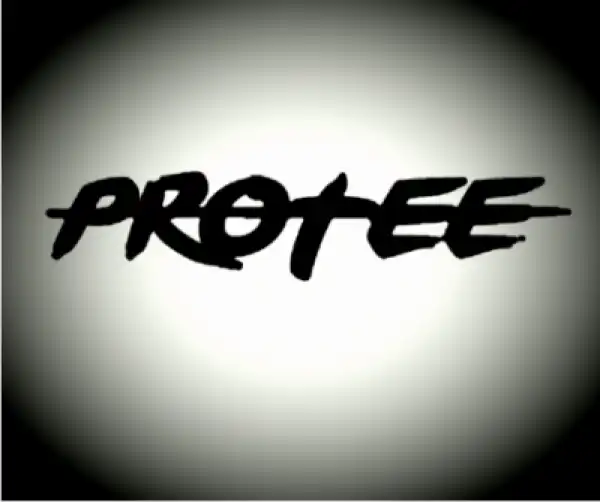 Paul X Lucas - The Riddle (Pro-Tee’s Bass Bin Shaker Remake)